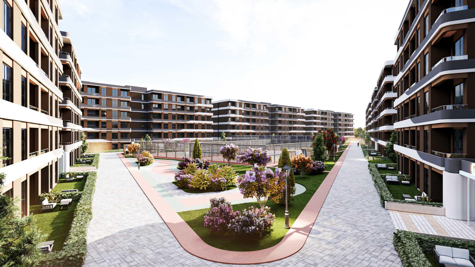 Portfolio Image