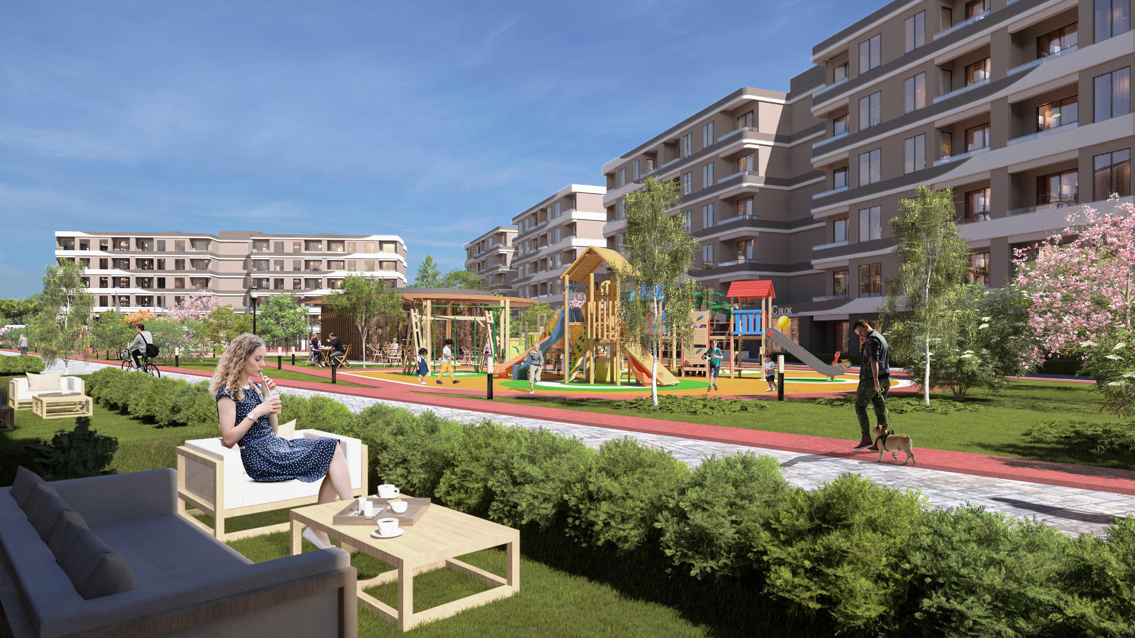 Portfolio Image