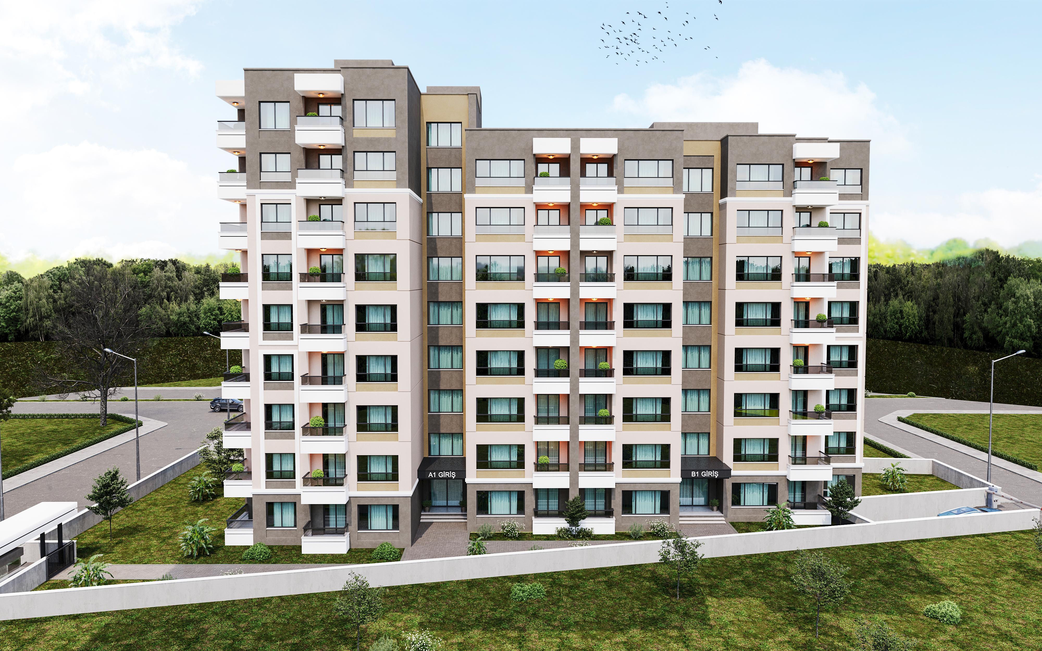 Portfolio Image